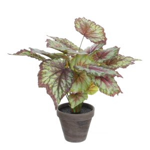 Mica Decorations Begonia Kunstplant in Bloempot Stan – H40 x Ø38 cm – Mica Decorations Begonia Kunstplant in Bloempot Stan – H40 x Ø38 cm –