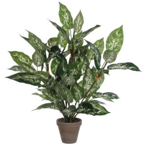 Mica Decorations Dieffenbachia Kunstplant in Bloempot Stan – H70 x Ø55 Mica Decorations Dieffenbachia Kunstplant in Bloempot Stan – H70 x Ø55