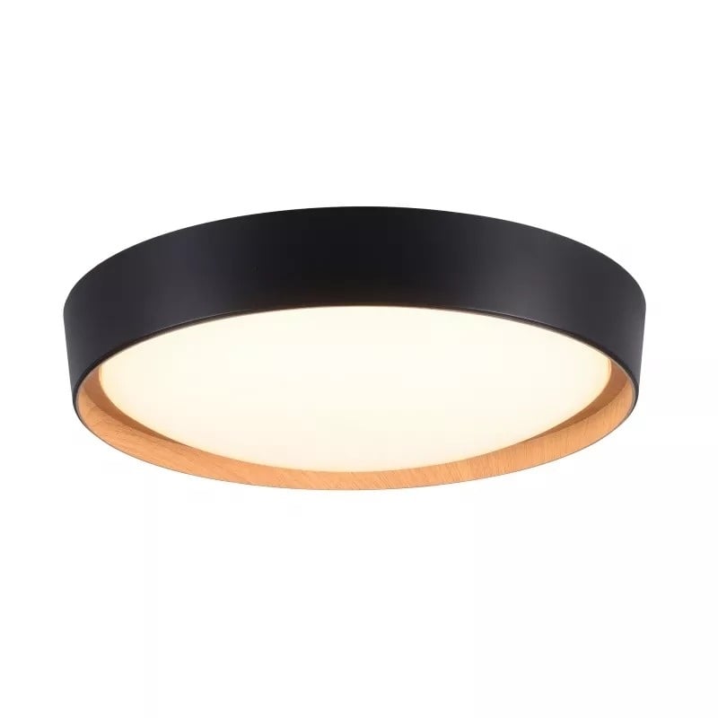 Paul Neuhaus plafondlamp Emilia - 1 lichts - 40 x 10 cm - zwart