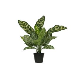 WOOOD Aglaonema Kunstplant Groen – 50 cm