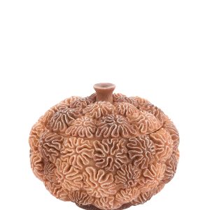 Light & Living deco box+deksel CORAL – Ø20×15.5cm – bruin Light & Living deco box+deksel CORAL – Ø20×15.5cm – bruin