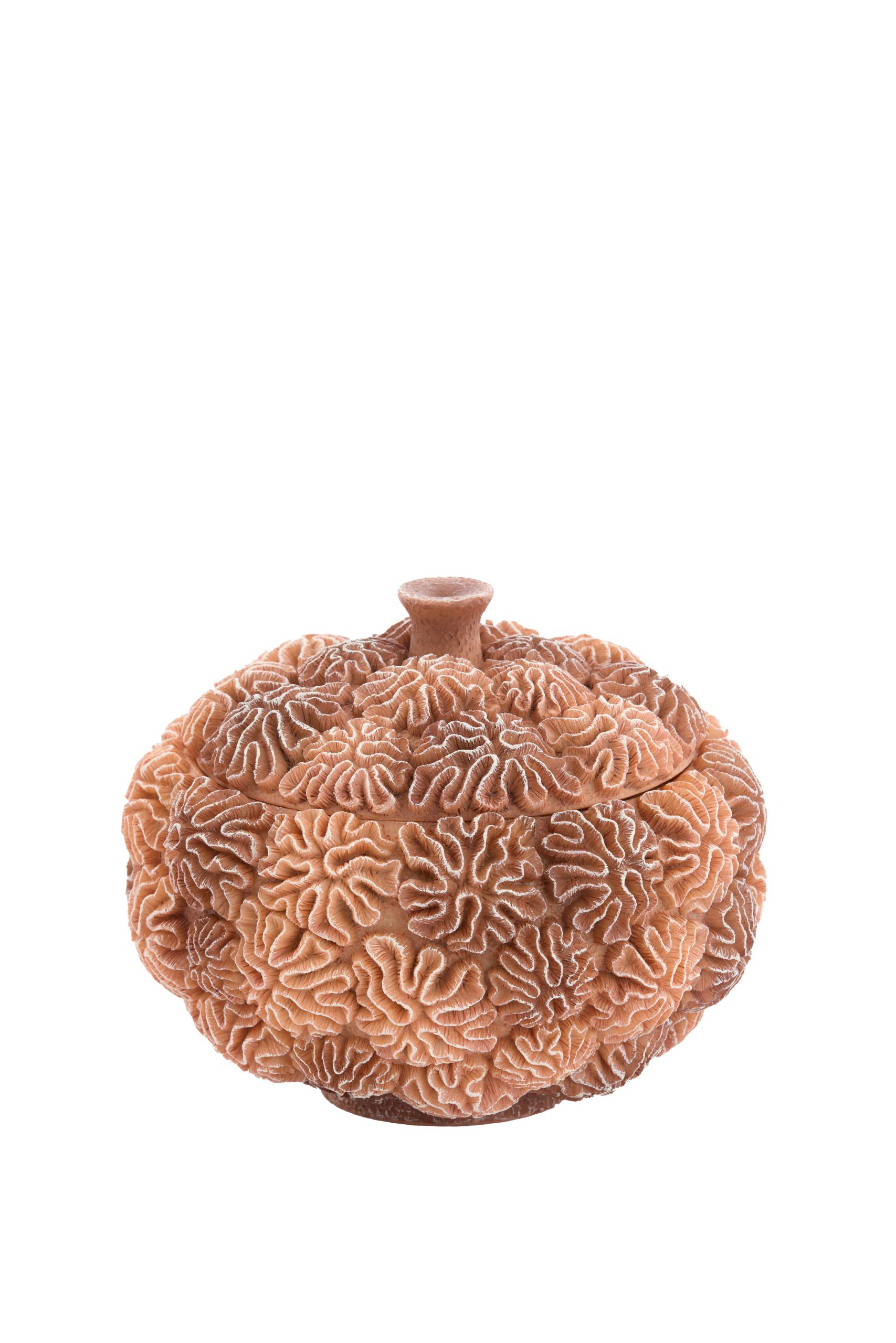 Light & Living deco box+deksel CORAL - Ø20x15.5cm - bruin