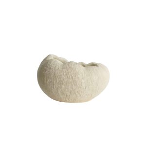 Light & Living vaas Denisa – wit – 52.5×42.5x34cm Light & Living vaas Denisa – wit – 52.5×42.5x34cm
