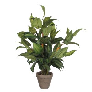 Mica Decorations Hosta Kunstplant in Bloempot Stan – H65 x Ø40 cm – Gr Mica Decorations Hosta Kunstplant in Bloempot Stan – H65 x Ø40 cm – Gr