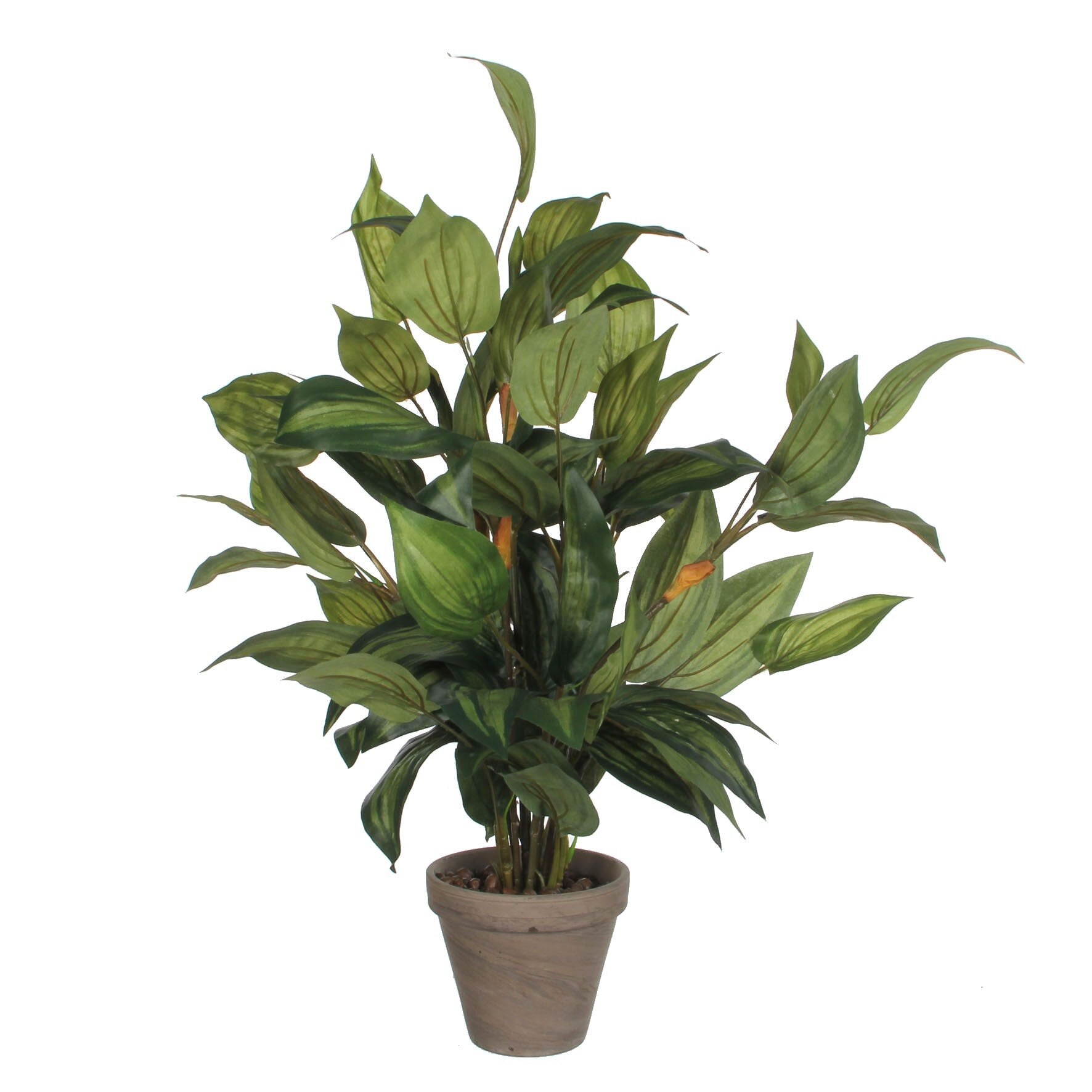 Mica Decorations Hosta Kunstplant in Bloempot Stan - H65 x Ø40 cm - Gr