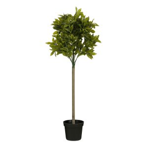 Mica Decorations Laurierboom Kunstplant – H120 x Ø40 cm – Groen Mica Decorations Laurierboom Kunstplant – H120 x Ø40 cm – Groen