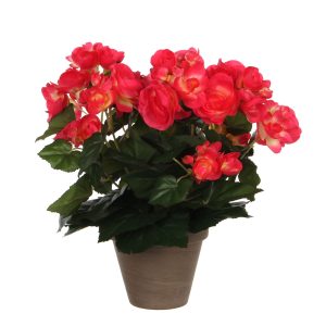 Mica Decorations Begonia Kunstplant in Bloempot Stan – H30 x Ø25 cm – Mica Decorations Begonia Kunstplant in Bloempot Stan – H30 x Ø25 cm –