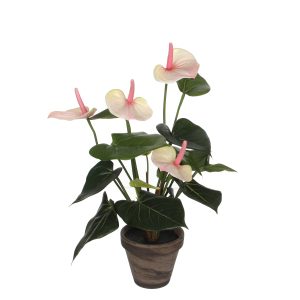Mica Decorations Anthurium Kunstplant in Bloempot Stan – H40 x Ø30 cm Mica Decorations Anthurium Kunstplant in Bloempot Stan – H40 x Ø30 cm