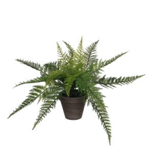 Mica Decorations Varen Kunstplant in Bloempot Stan – H38 x Ø50 cm – Gr Mica Decorations Varen Kunstplant in Bloempot Stan – H38 x Ø50 cm – Gr