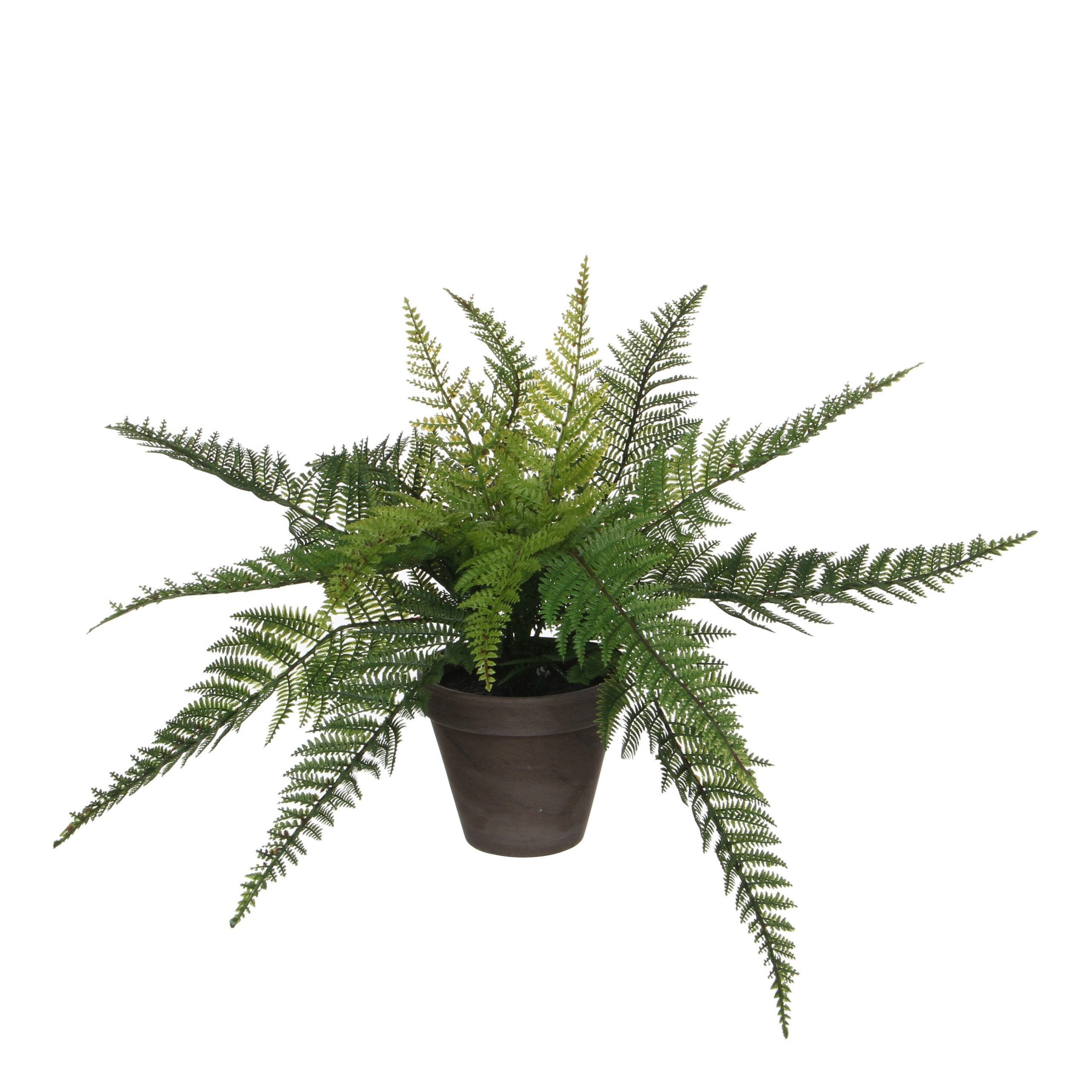 Mica Decorations Varen Kunstplant in Bloempot Stan - H38 x Ø50 cm - Gr