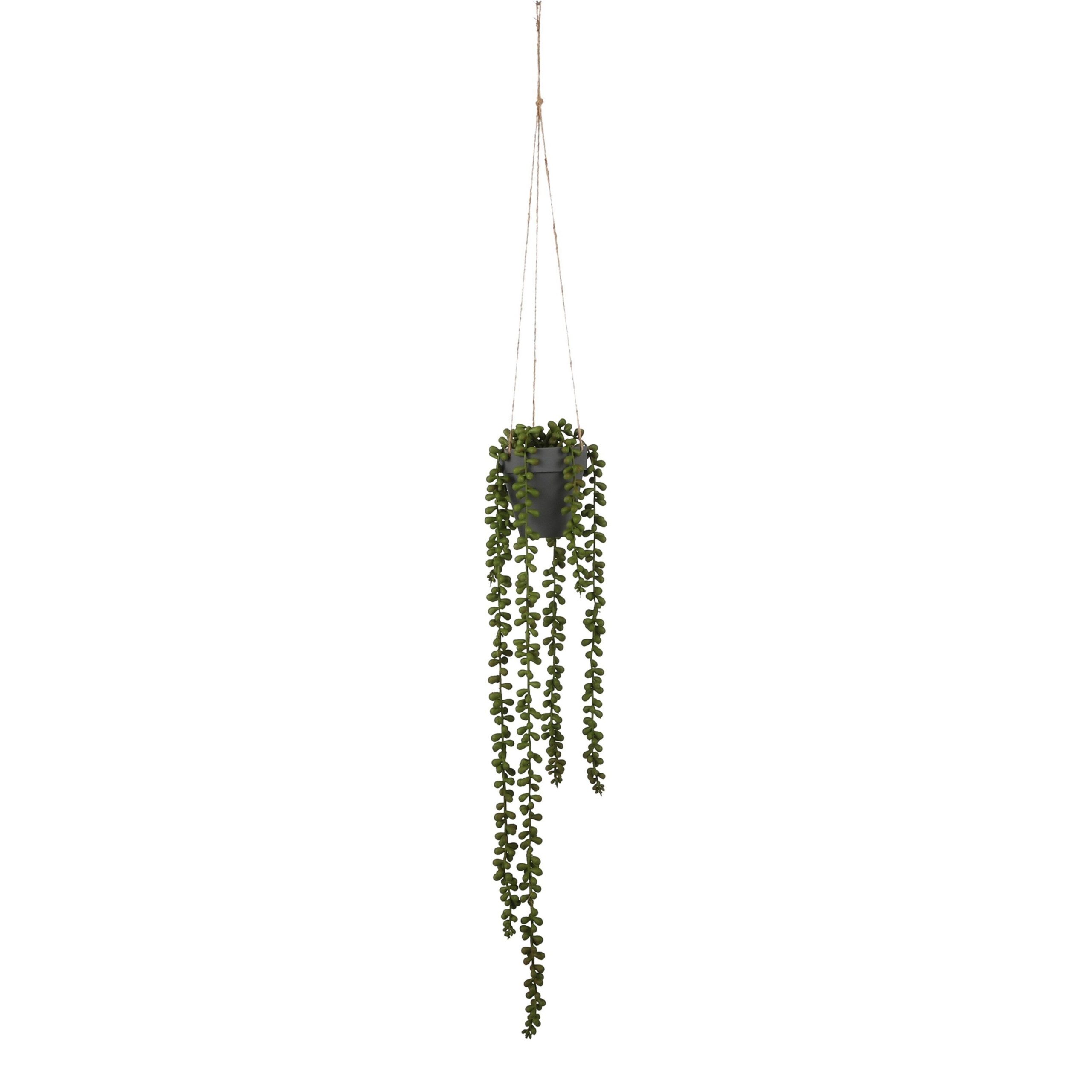 Mica Decorations Senecio Kunst Hangplant - H56 x Ø9 cm - Groen