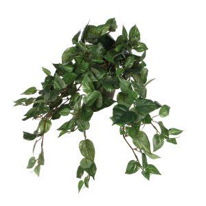 Mica Decorations Scindapsus Kunst Hangplant in Bloempot Stan – H45 x Ø Mica Decorations Scindapsus Kunst Hangplant in Bloempot Stan – H45 x Ø