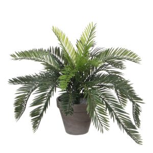 Mica Decorations Cycas Palm Kunstplant in Bloempot Stan – H37 x Ø44 cm Mica Decorations Cycas Palm Kunstplant in Bloempot Stan – H37 x Ø44 cm