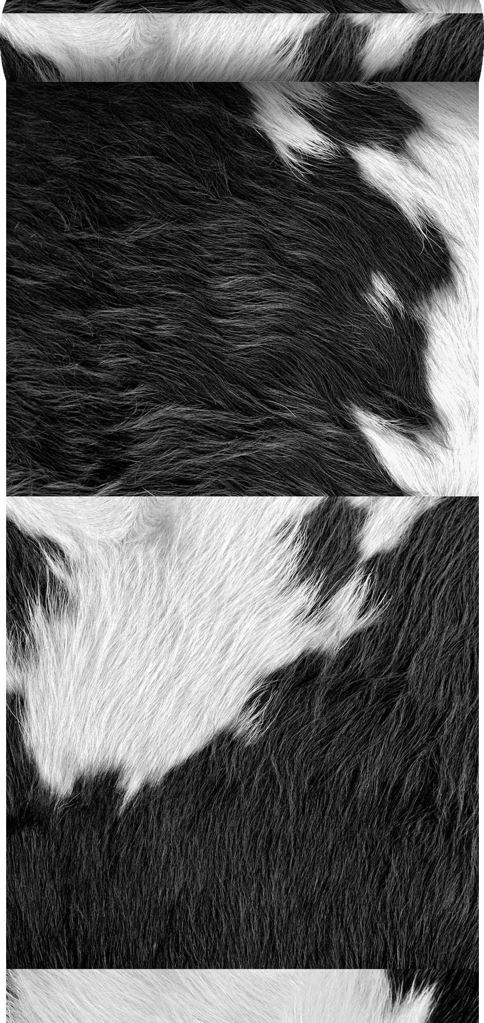 Origin Wallcoverings XXL behang koeienhuid-look zwart wit - 50 x 900 c