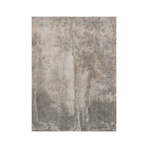 LOOKS by Wolfgang Joop Fotobehang – Berkenbomen – 270x200cm LOOKS by Wolfgang Joop Fotobehang – Berkenbomen – 270x200cm