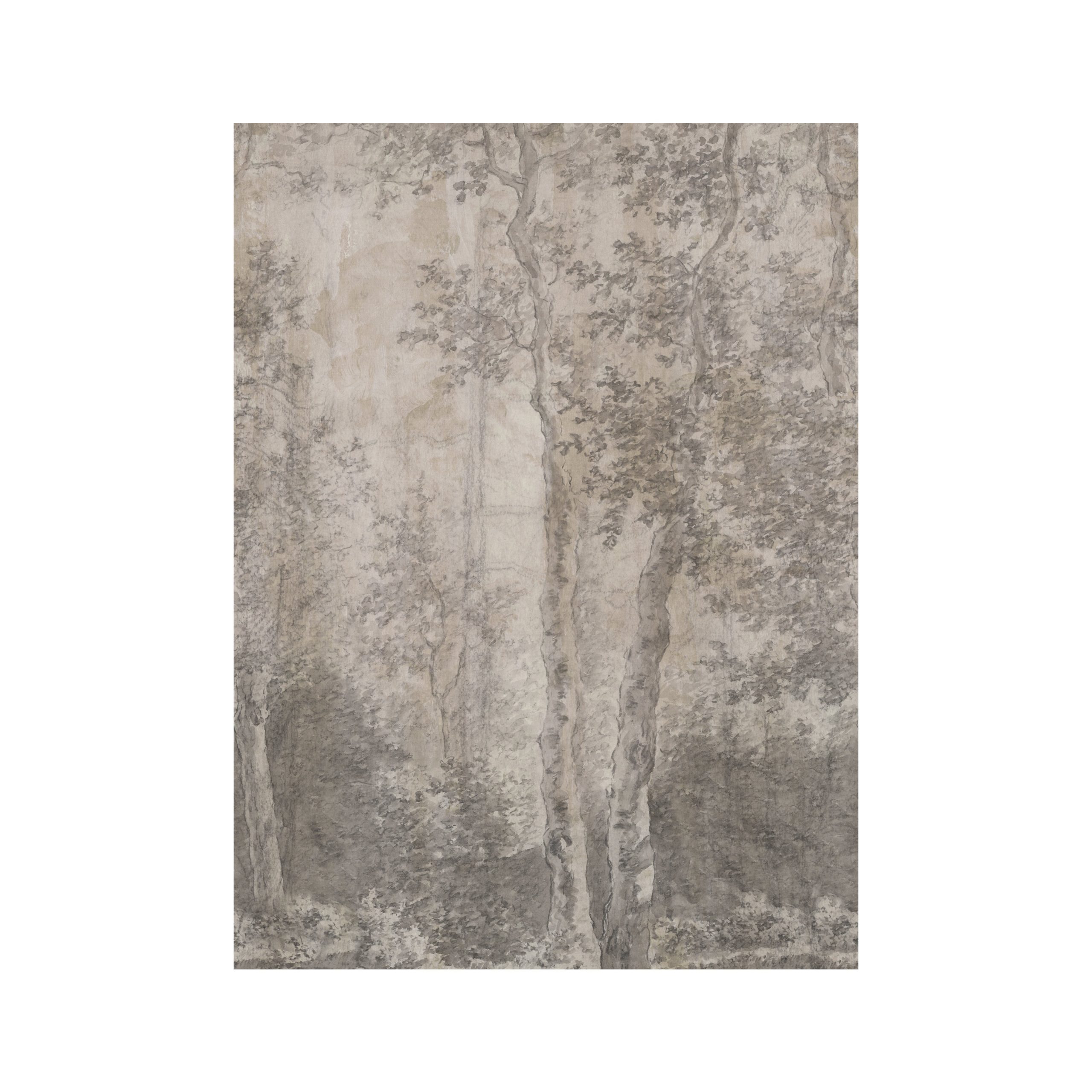 LOOKS by Wolfgang Joop Fotobehang - Berkenbomen - 270x200cm