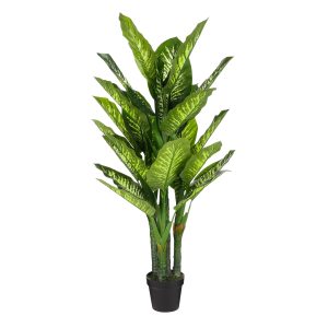 Mica Decorations Dieffenbachia Kunstplant – H150 x Ø70 cm Mica Decorations Dieffenbachia Kunstplant – H150 x Ø70 cm