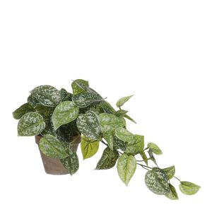 Mica Decorations Scindapsus Kunstplant in Bloempot Stan – H44 x Ø17 cm Mica Decorations Scindapsus Kunstplant in Bloempot Stan – H44 x Ø17 cm