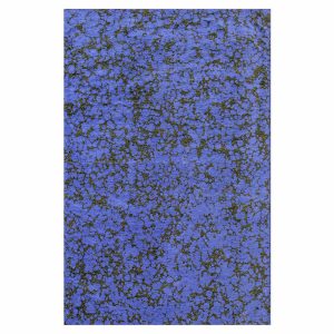 Lola&Moi vloerkleed Blue Grass – blauw – 140x200cm Lola&Moi vloerkleed Blue Grass – blauw – 140x200cm