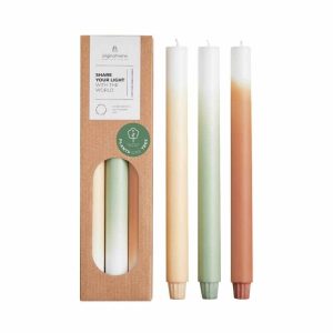Originalhome dinerkaarsen verloop Pine Tree – 30 cm – set van 3 Originalhome dinerkaarsen verloop Pine Tree – 30 cm – set van 3