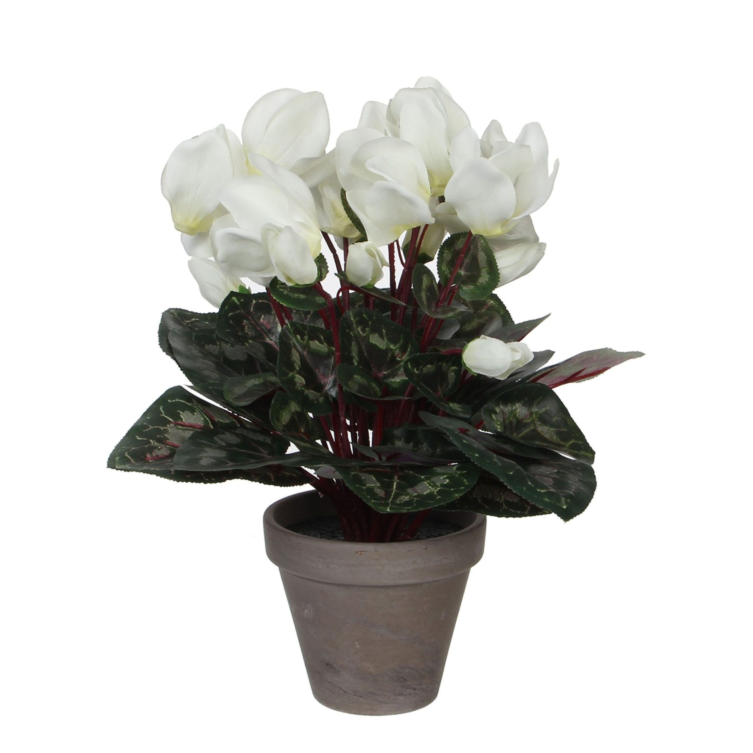 Mica Decorations Cyclaam Kunstplant in Bloempot Stan - H30 x Ø30 cm -
