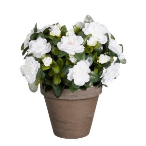 Mica Decorations Azalea Kunstplant in Bloempot Stan – H31 x Ø26 cm – W Mica Decorations Azalea Kunstplant in Bloempot Stan – H31 x Ø26 cm – W