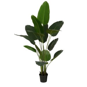 Mica Decorations Kunstplant Bananenboom in Pot – H180 x Ø30 cm – Groen Mica Decorations Kunstplant Bananenboom in Pot – H180 x Ø30 cm – Groen