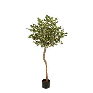 Mica Decorations Ficus Triangularis – Kunstplant in Pot – Realistische Mica Decorations Ficus Triangularis – Kunstplant in Pot – Realistische