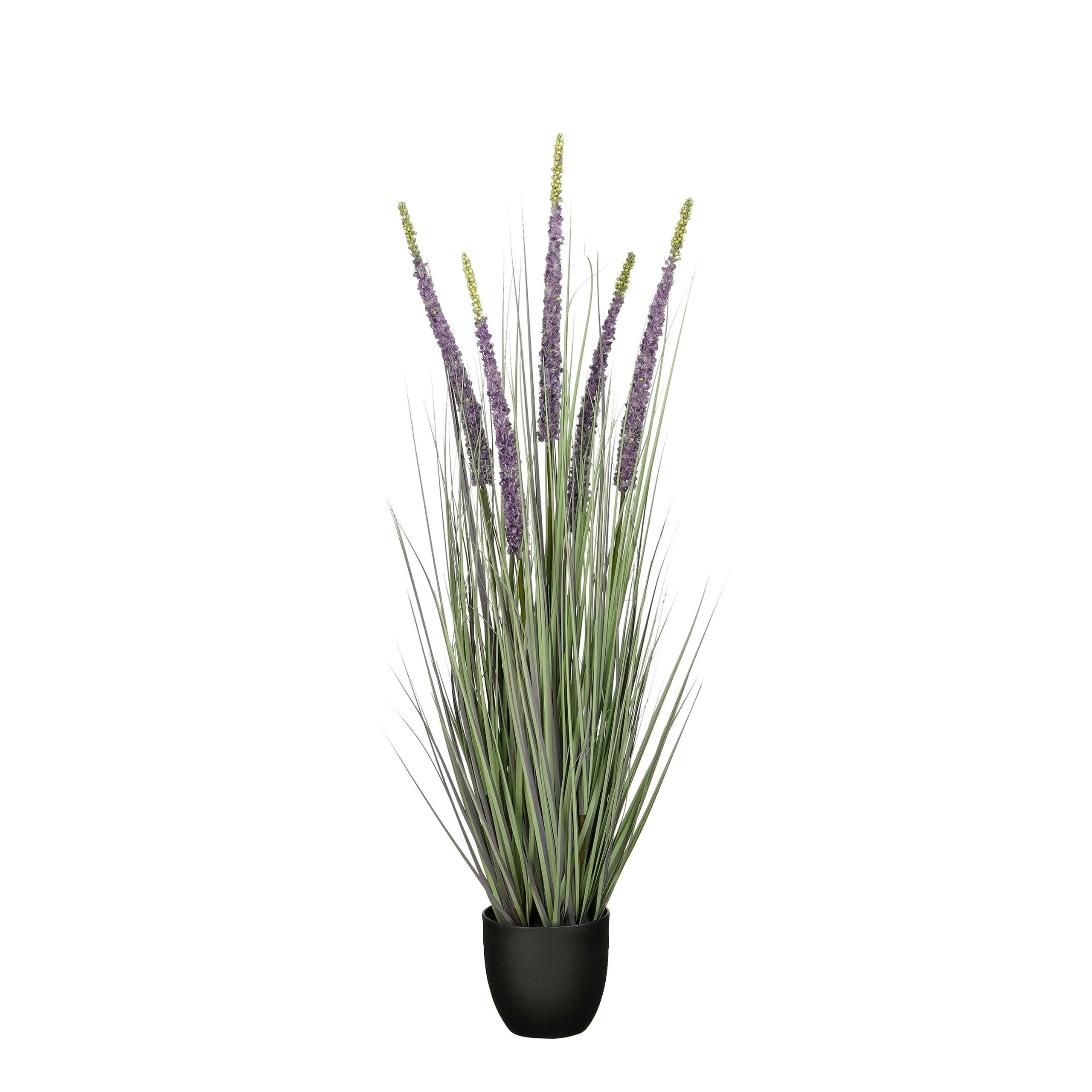 Mica Decorations Eremurus – Kunstgras in Pot – Realistische Nepplant W