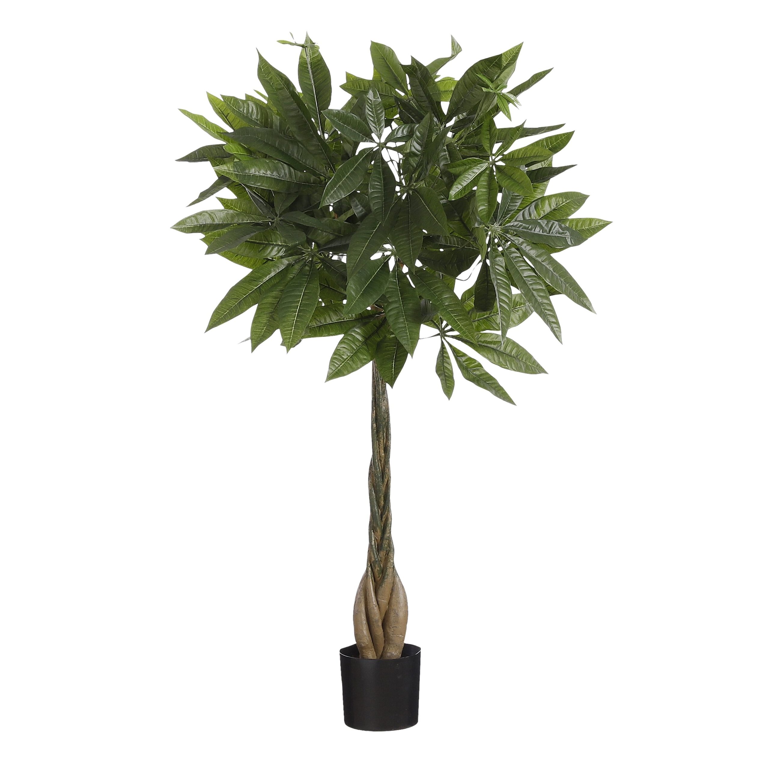 Mica Decorations Pachira Kunstplant - H80 x Ø60 cm - Groen