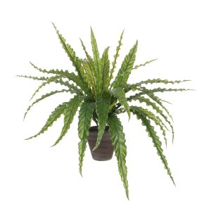 Mica Decorations Asplenium Kunstplant in Bloempot Stan – H54 x Ø66 cm Mica Decorations Asplenium Kunstplant in Bloempot Stan – H54 x Ø66 cm