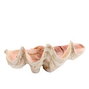 Light & Living ornament SHELL – 41x25x17cm – bruin Light & Living ornament SHELL – 41x25x17cm – bruin