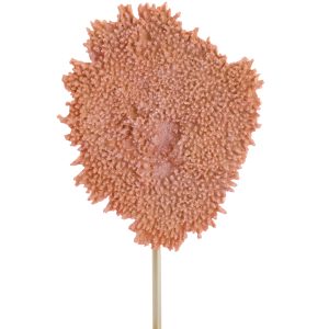 Light & Living ornament CORAL – 37x31x61.5cm – oranje Light & Living ornament CORAL – 37x31x61.5cm – oranje