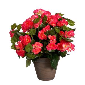 Mica Decorations Begonia Kunstplant in Bloempot Stan – H37 x Ø36 cm – Mica Decorations Begonia Kunstplant in Bloempot Stan – H37 x Ø36 cm –