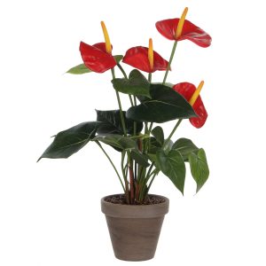 Mica Decorations Anthurium Kunstplant in Bloempot Stan – H38 x Ø30 cm Mica Decorations Anthurium Kunstplant in Bloempot Stan – H38 x Ø30 cm