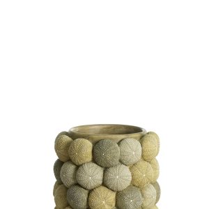 Light & Living vaas SEA URCHIN – Ø20.5x18cm – groen Light & Living vaas SEA URCHIN – Ø20.5x18cm – groen